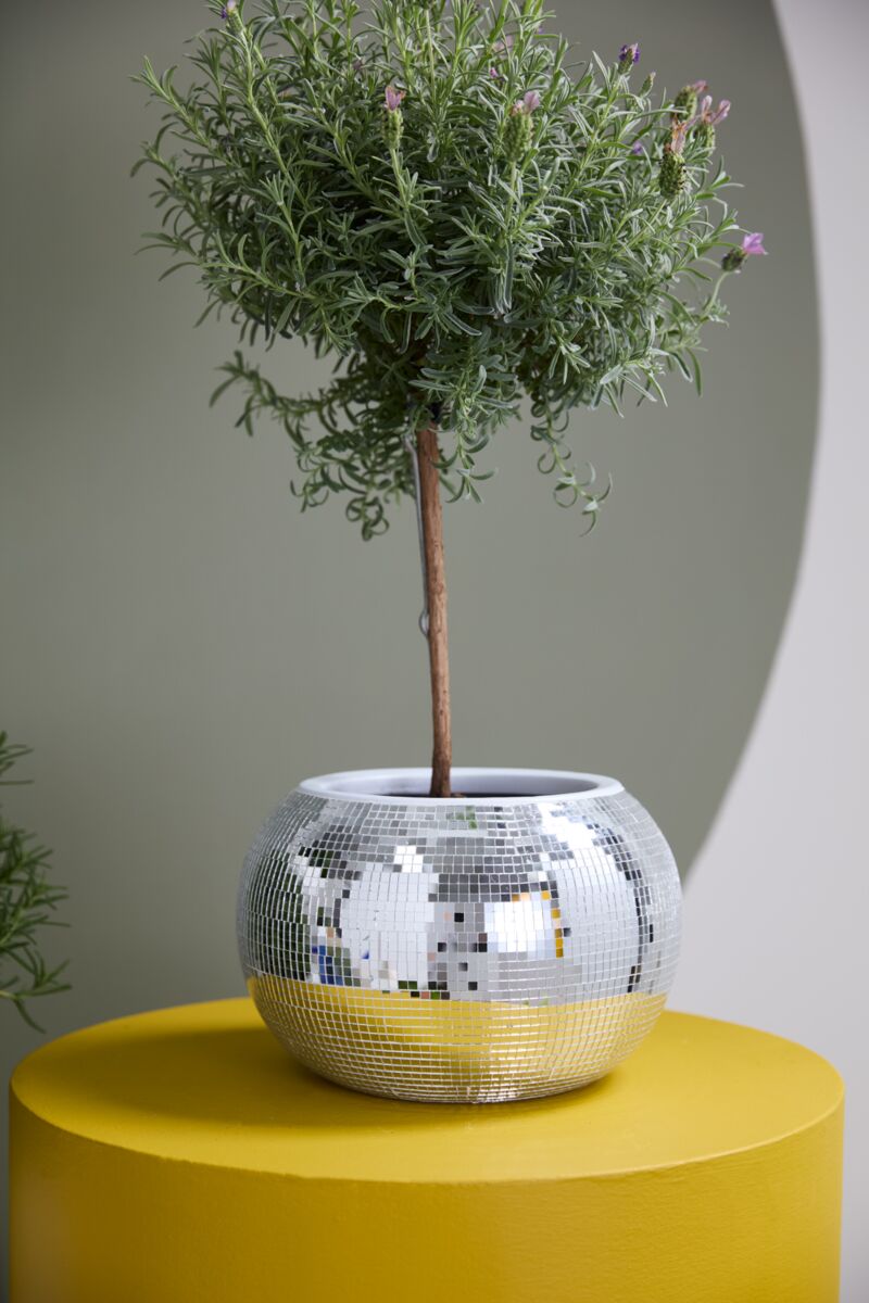 Mirrored Disco Ball Ceramic Planter - Large Pot