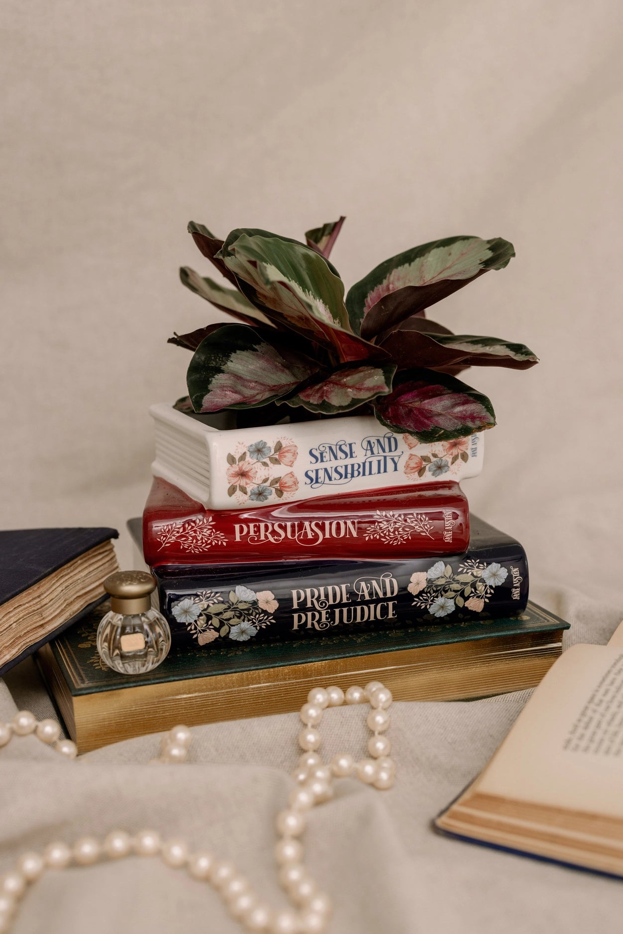 Stacked Books Planter - The Austen Edition