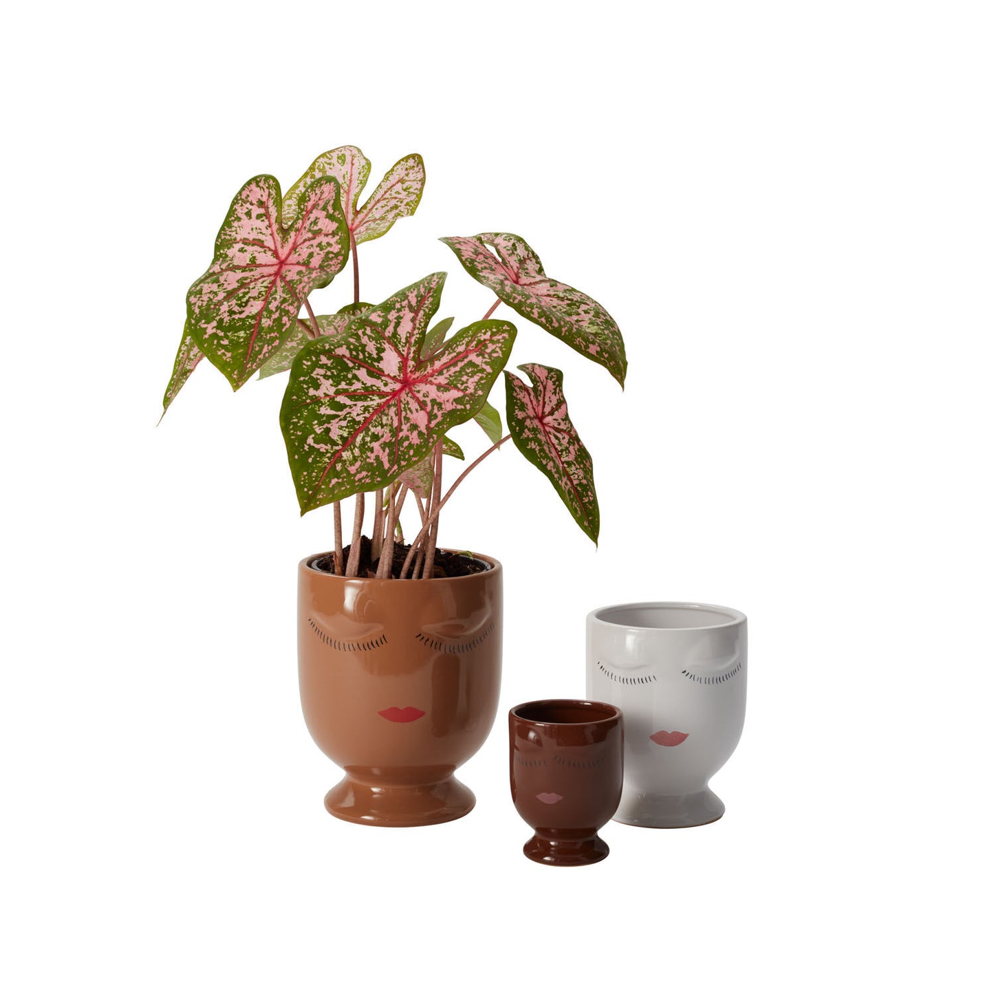 White Ceramic Face Planter - Minimalist Design