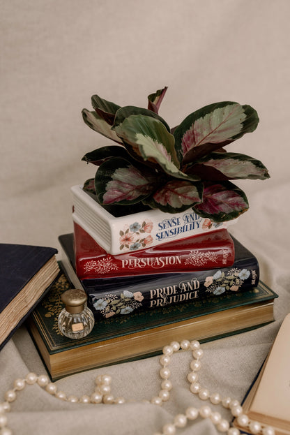 Stacked Books Planter - The Austen Edition