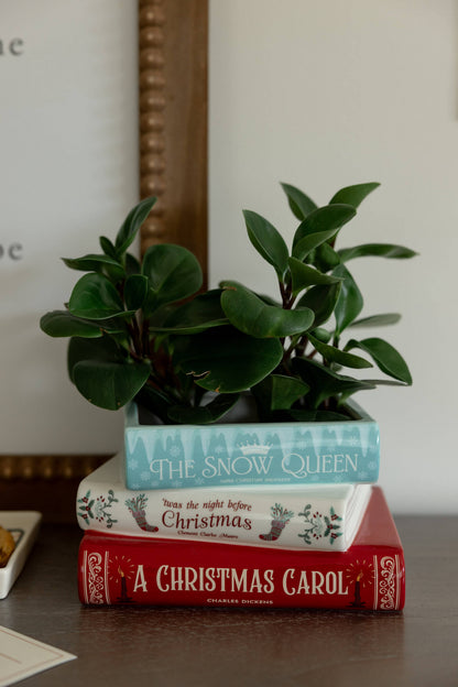 Stacked Books Planter — The Winter Edition