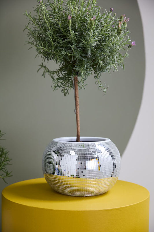 Mirrored Disco Ball Ceramic Planter - Large Pot