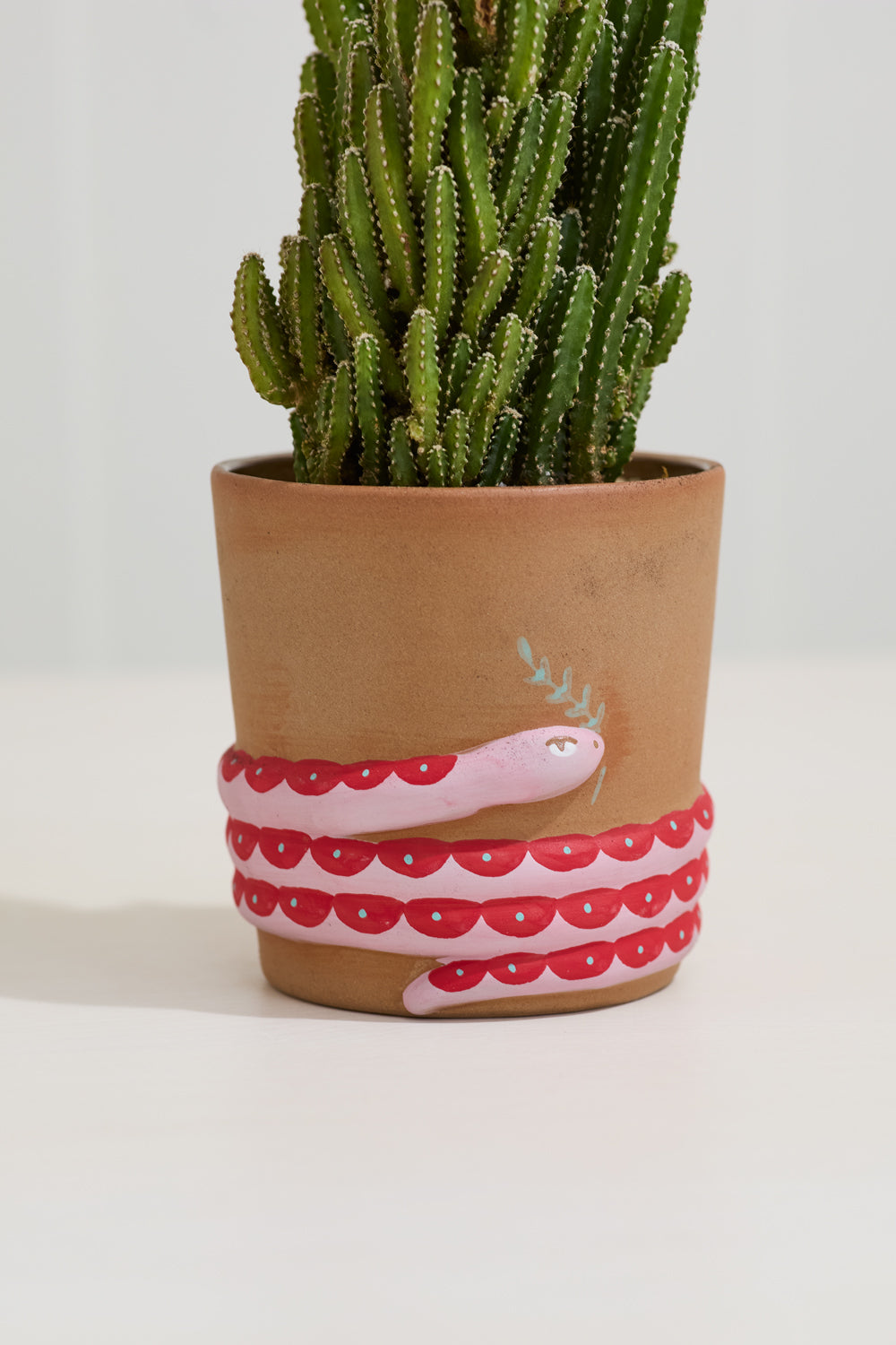 Pink Snake Ceramic Planter - Coiled Design