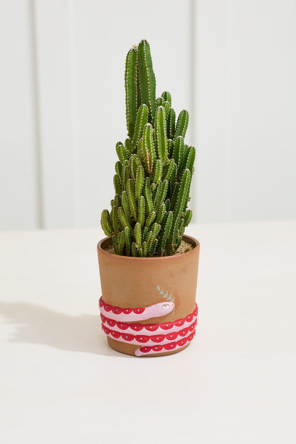 Pink Snake Ceramic Planter - Coiled Design