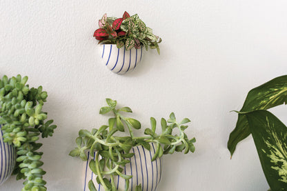 Wim Wall Planter Set - Blue Striped Ceramic (Set of 4)