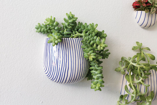 Wim Wall Planter Set - Blue Striped Ceramic (Set of 2)