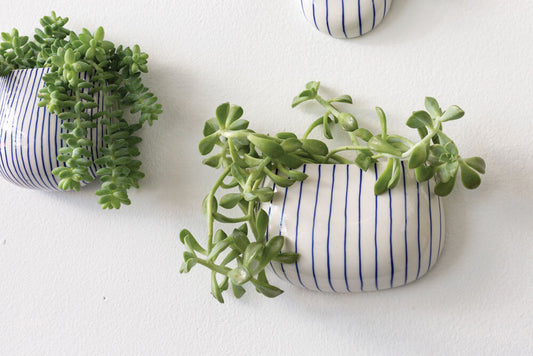 Wim Wall Planter - Blue Striped Ceramic (Single)