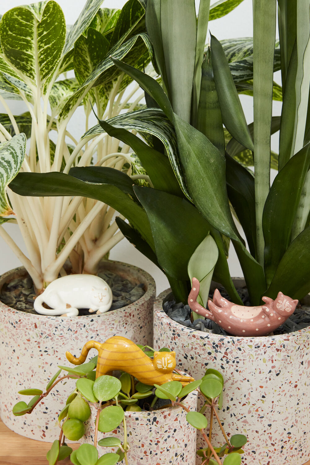 Ceramic Cat Plant Sticks - Hand Painted (Set of 3)