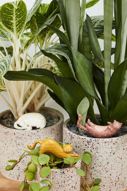 Ceramic Cat Plant Sticks - Hand Painted (Set of 3)