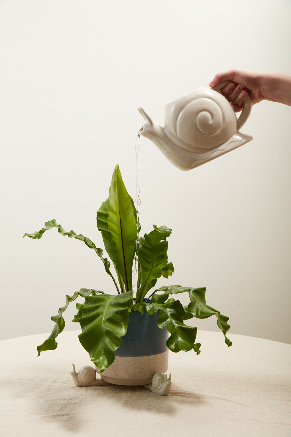 Slowpoke Snail Ceramic Watering Can